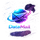 DataMail